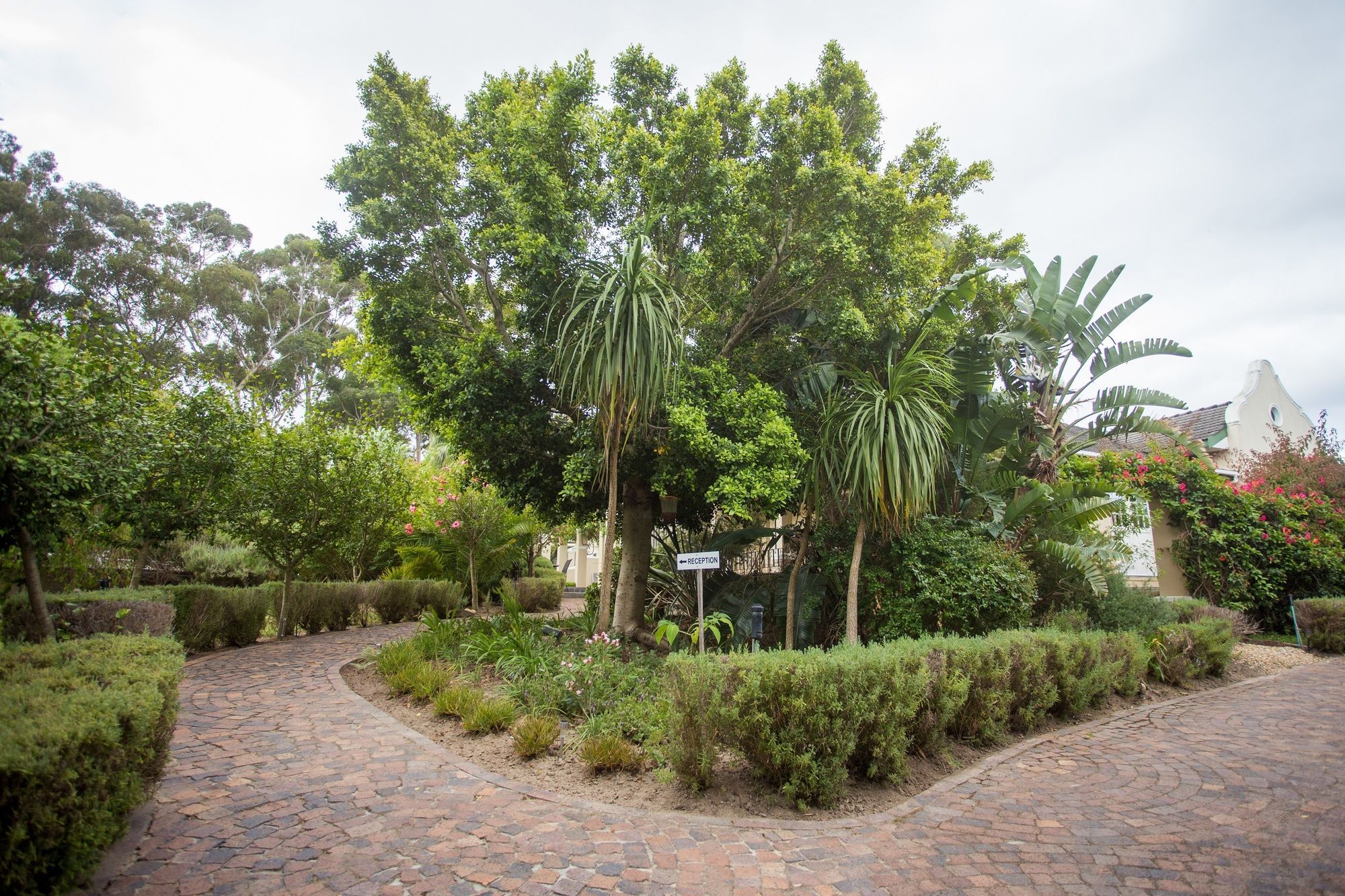 Somerset Villa Guesthouse Somerset West Exterior photo